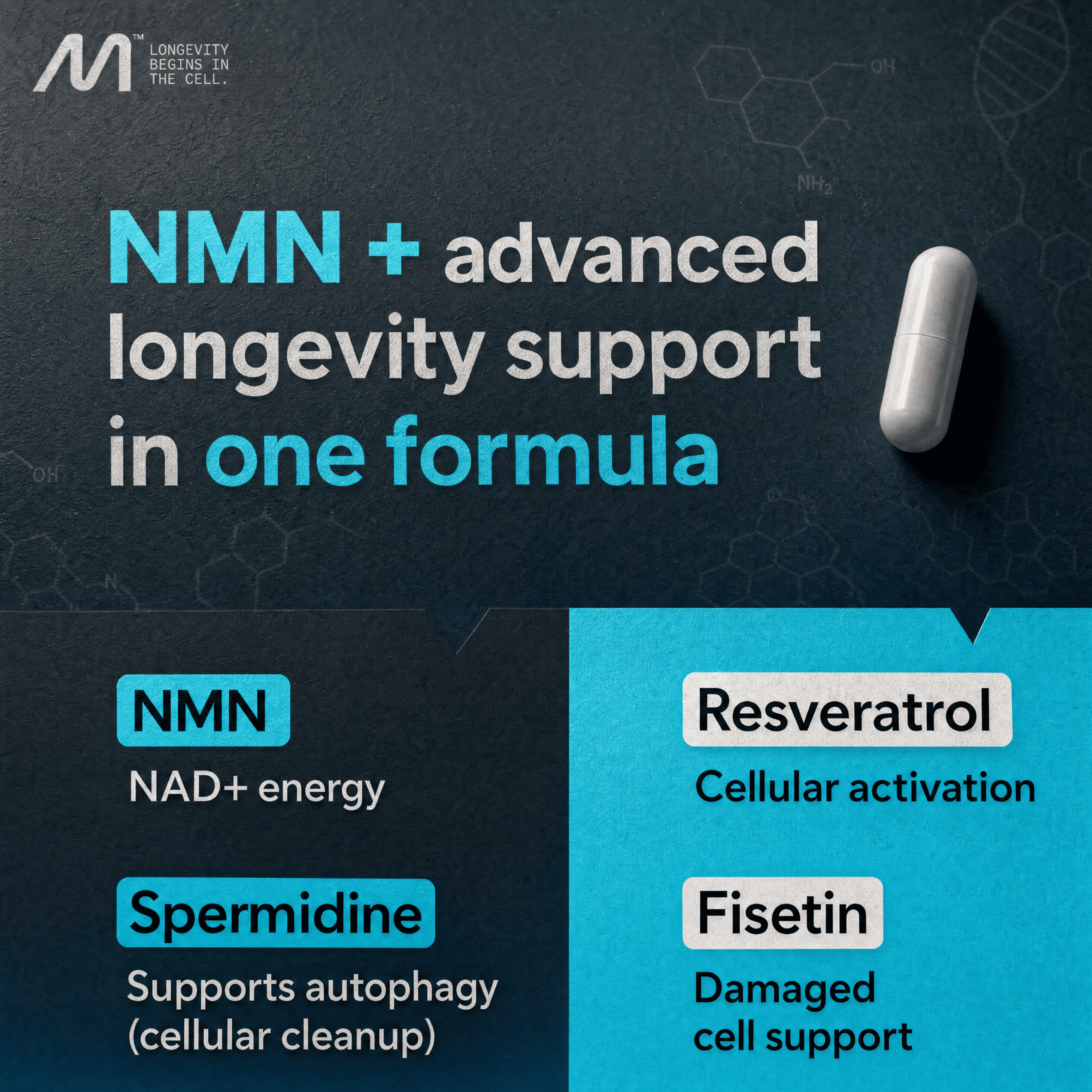 Liposomal NMN Supplement with Resveratrol, Spermidine & Fisetin - 4-in-1 NAD+ Booster for Cellular Energy, Anti Aging & Longevity - NAD+ Support for Men & Women, 60 Capsules, 30 Day Supply